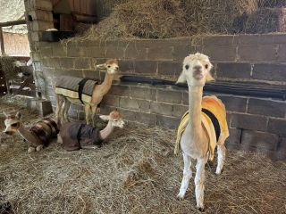 437356328_762629202659150_8862832752926281557_n_(1)